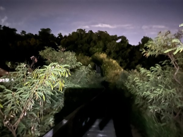 [漫遊縱谷 愛在花東-06/10] 2025_1011 台東鯉魚山步道2913369