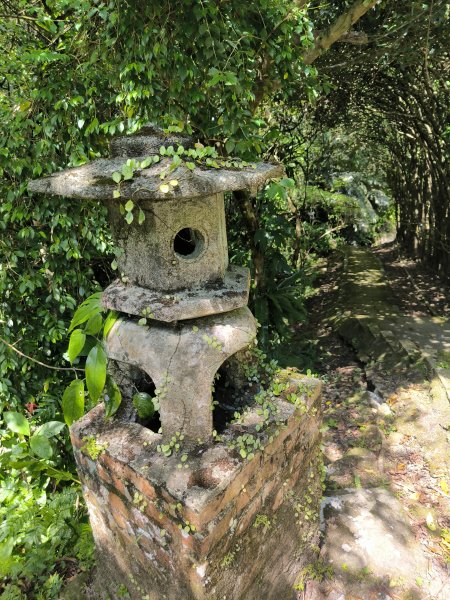 20251010微笑山線：【五分山系】菁桐煤礦段2910192