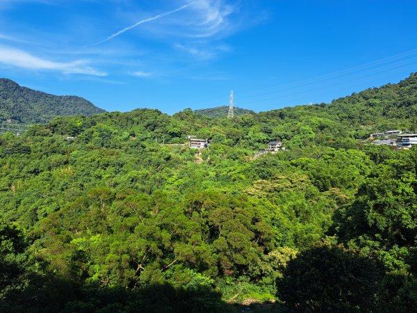 2026微笑山線銀河洞越嶺段3103349