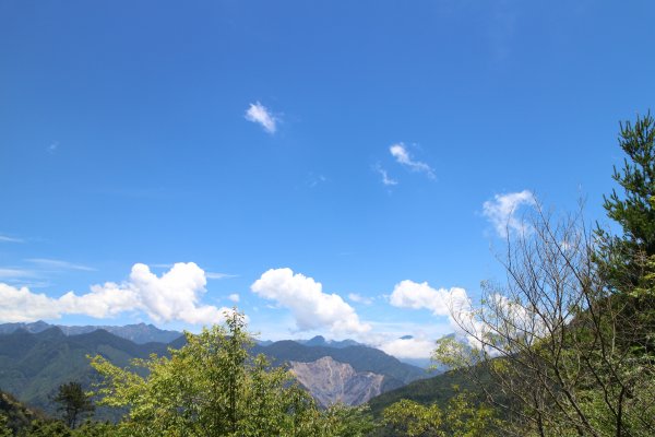 觀霧雲霧步道 20150619684891