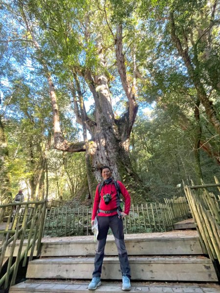 20260104司馬庫斯 &巨木群攀登2978844