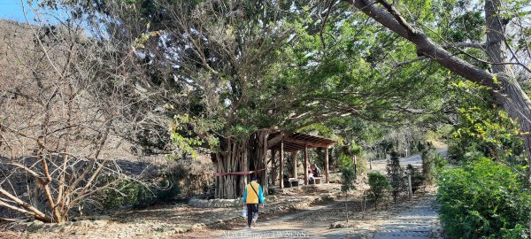 《台中》短暫暖陽｜龍井竹坑南寮步道O繞202601042976413