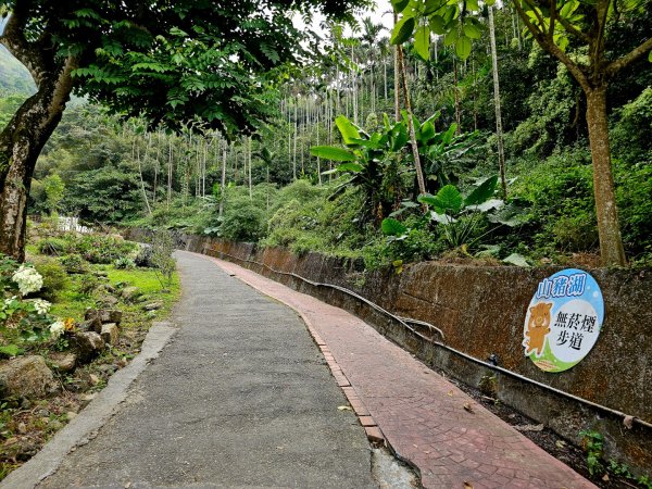 雲嘉大尖山、二尖山步道--(雲林)臺灣百大必訪步道2955775