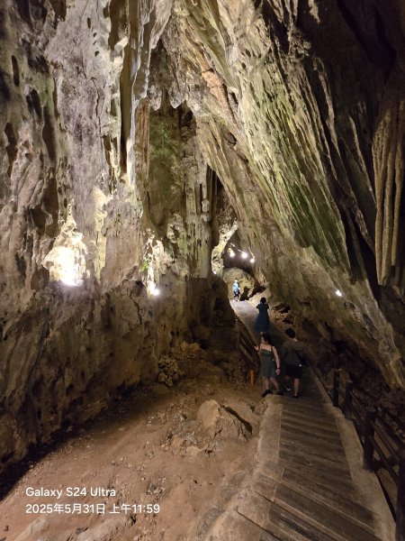 2025-05-31墾丁國家森林遊樂區步道群2801795