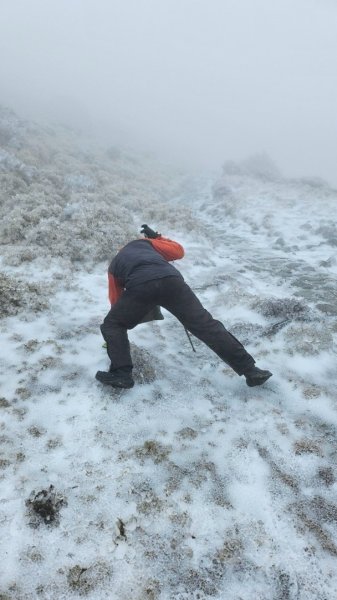 20250319～20嘉明湖國家步道🥶🥶🥶殘念😭2739756