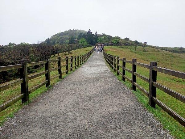 擎天崗環形步道、冷擎步道《擎天崗3山、1潛堡、6圓堡健行巡禮》【走遍陽明山】2081742