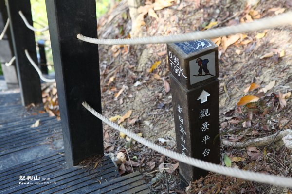 新田登山步道~聚興山1406419