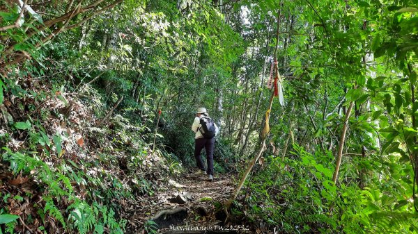 《新竹》遺世古堡｜尖石李崠山登山步道202507182841008