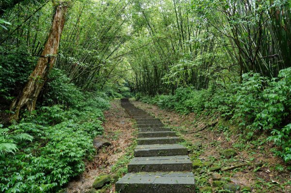 新北 瑞芳 頂子寮山、五分山2615513