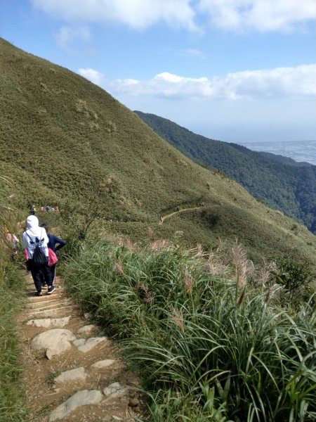 宜蘭縣聖母登山步道711808