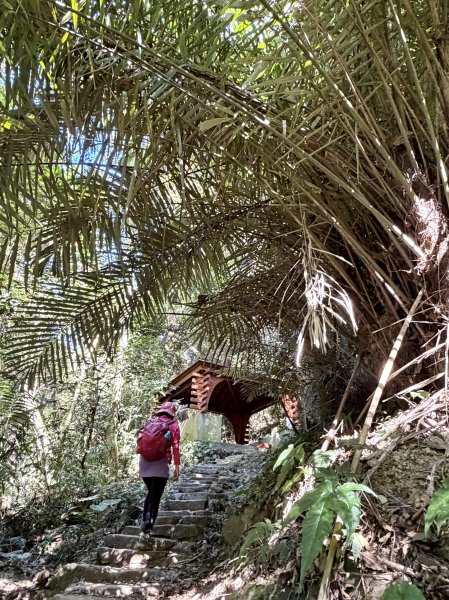 鳴鳳山-錫隘古道大O繞-202601252991408