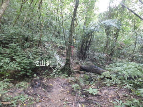 百二階古道+苕谷瀑布+逸仙山+泰和樓2734490