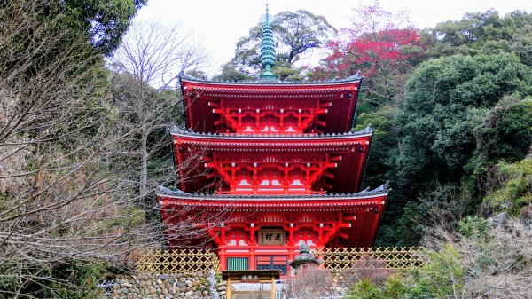 織田信長的天下夢2980798