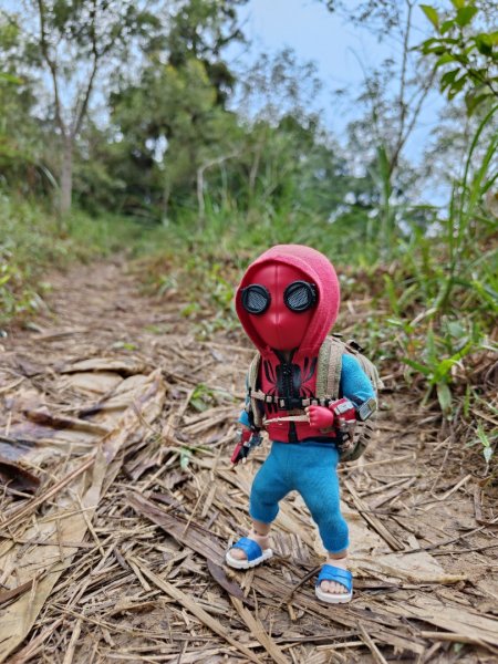 2023.12.14 鵲子山2804617