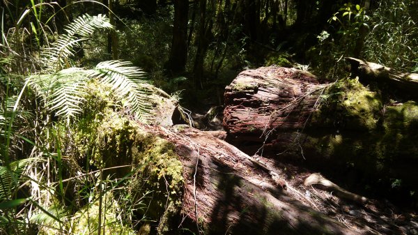 三星池登山健行趣1789858