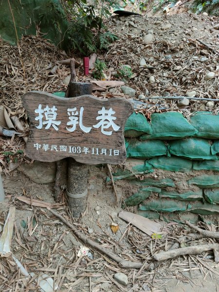 松柏嶺登廟步道2372043