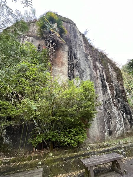 [嘉遊好步道．來嘉走走-04/10] 2024_1011 阿里山頂湖步道2624725