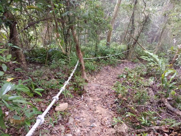 關西鎮太元宮-赤柯山-赤柯山南峰-東獅頭山-西獅頭山-東獅頭山8字走3022870