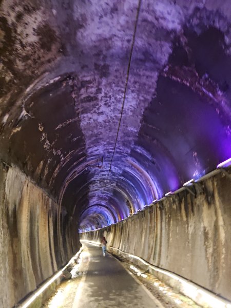功維敘隧道-貓狸山公園2754514