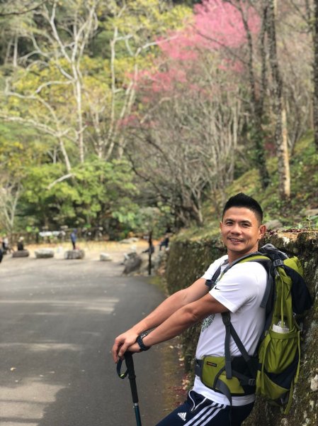 八仙山森林遊樂區【與藍腹鷴漫步在春光裡】531622