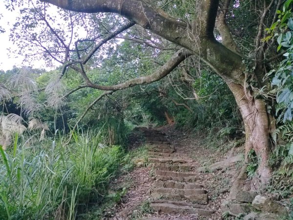 1011023金包里大路封面
