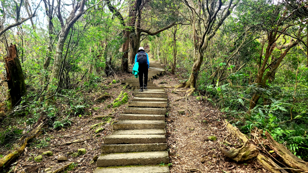 2025-0104 造鎮_五城山_天上山_三粒半_火焰山_慈惠堂_土城大潤發2682123