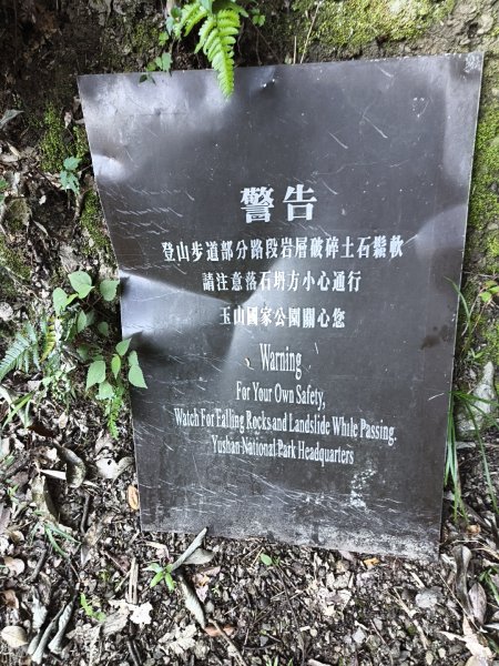 [玉山尋寶任務-07/12] 2025_0824 八通關雲龍瀑布步道2870445