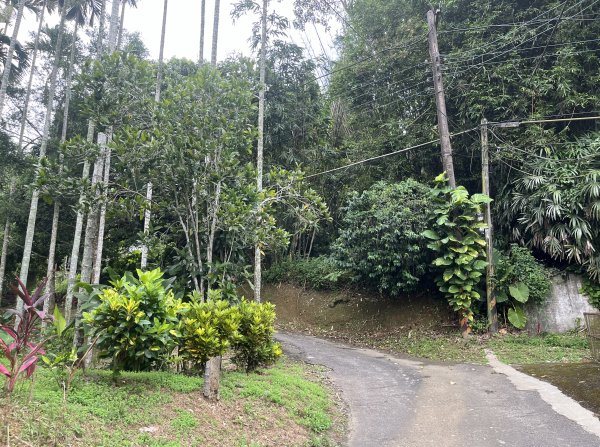 [皮皮獅Hike客任務-05/10] 2024_0721 石硬子古道(石峎古道)2557510