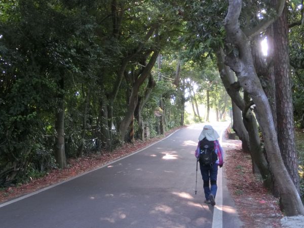 觀日坪古道．飛鳳山182596