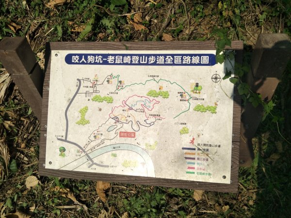 咬人狗坑登山步道(三汀山)1871260
