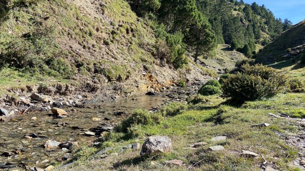 南三段-------丹大無雙豔陽天2916536