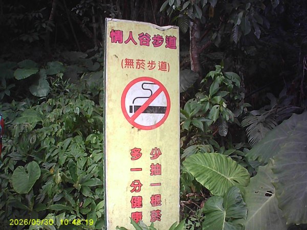 內灣南坪古道、馬胎古道及內灣O繞，順道拜訪位移總督府交通局遞信部基石。3067401