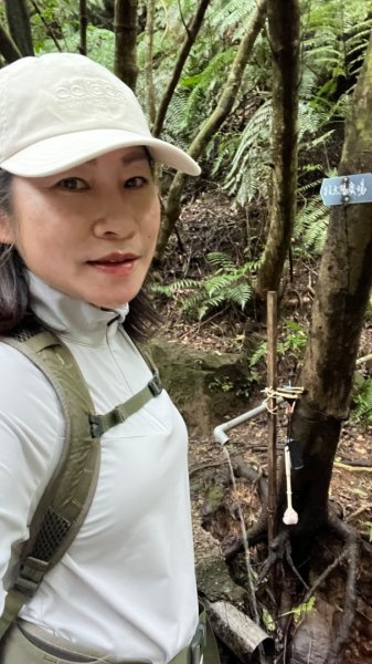 小百岳_大崙頭山2959949