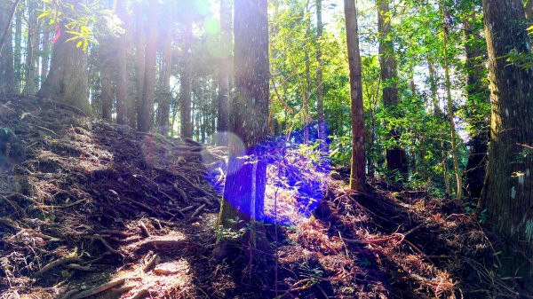 油羅山(一上三下)2959133