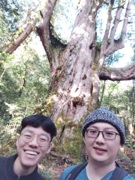 中級山-司馬庫斯2888972