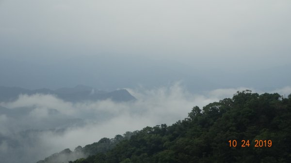 朝陽步道&粉鳥林&石碇雲海712091