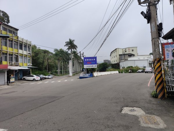 2024.04.14 倒別牛登中坑山飛鳳山O型2922808