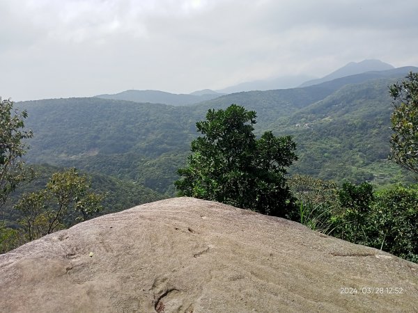 【臺北大縱走4】風櫃嘴→雙溪溝古道→五指山古道→大崙頭山北面步道→許願步道→圓覺寺步道→大溝溪→大湖2469071