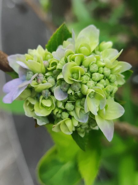 石空古道-石空山-太和山-火燒寮山-伯朗城堡-外澳車站
