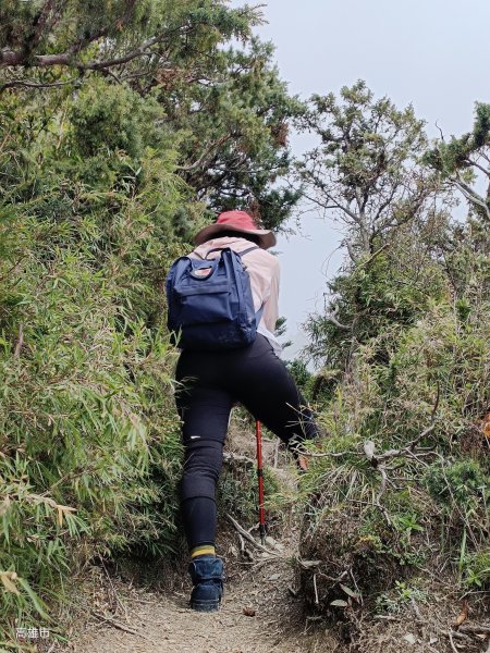 2023探索關山嶺山聚焦雲霧世界2344164