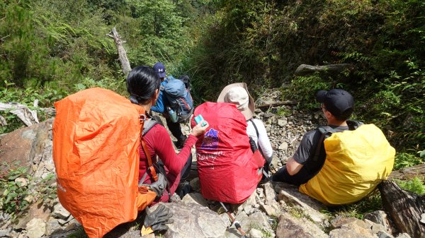 雙龍林道上巒安堂西巒大山1778741