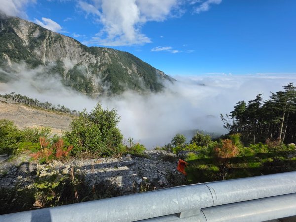 庫哈諾辛山 關山嶺山 溪頭山3135629