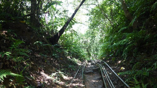 石空古道登山健行趣(淡蘭中路TK2-19)1521180