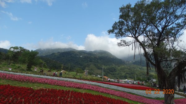 午餐的約會-北投三層崎/貴子坑845561