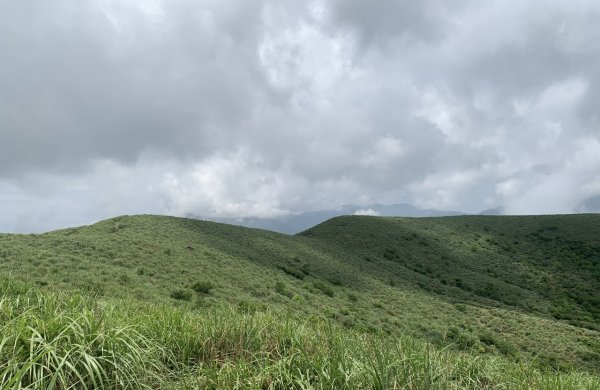 磺嘴山生態保護區（磺嘴山-鹿堀坪）封面
