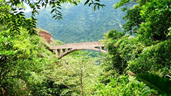 黃金水圳,黃金洞,黃金台。重銘說2775297