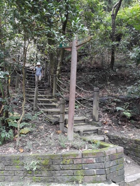 台中新田登山步道20180823396396