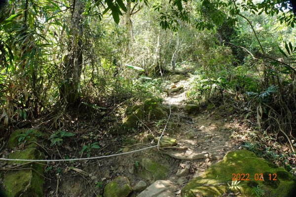 臺中 太平 暗影山1608977