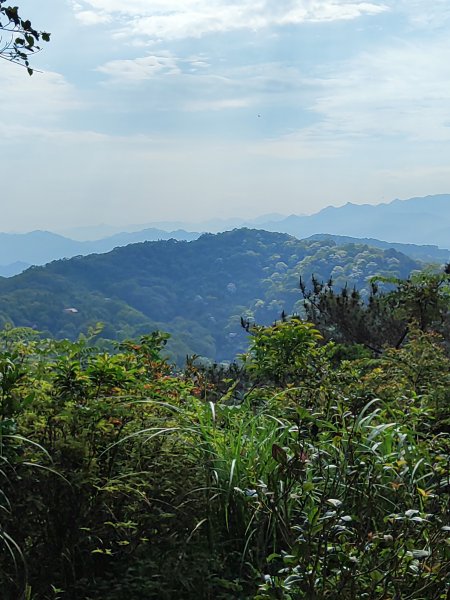 飛鳳山、觀日坪古道2777888