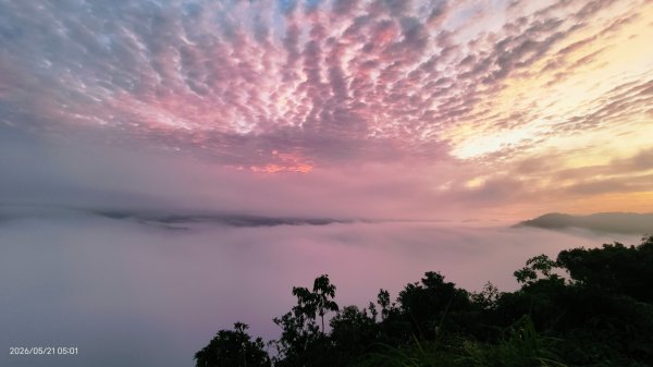 #坪林 #南山寺 #飛碟茶園 #慈瑤宮 #環山路 #日出 #雲海 #觀音圈 5/21-233058236